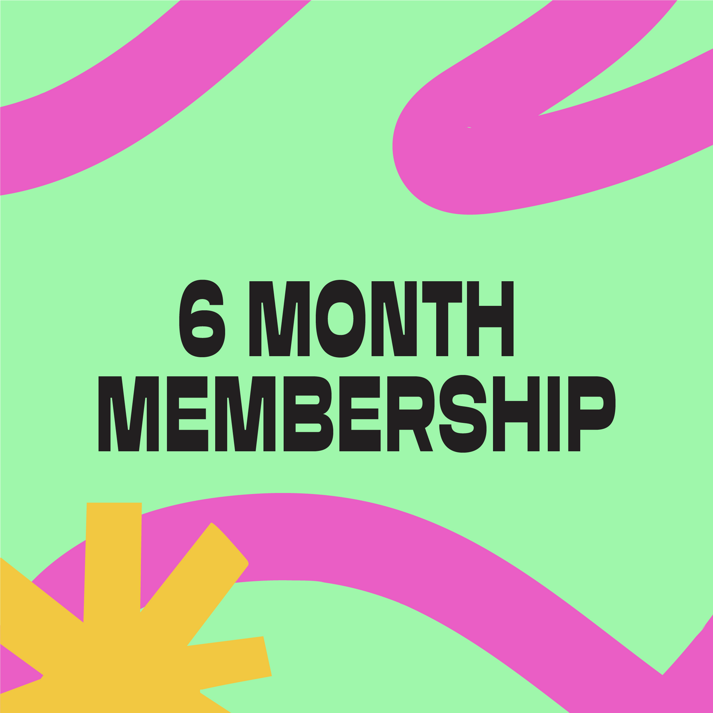 The Ultimate Mix. 6 Month Membership.